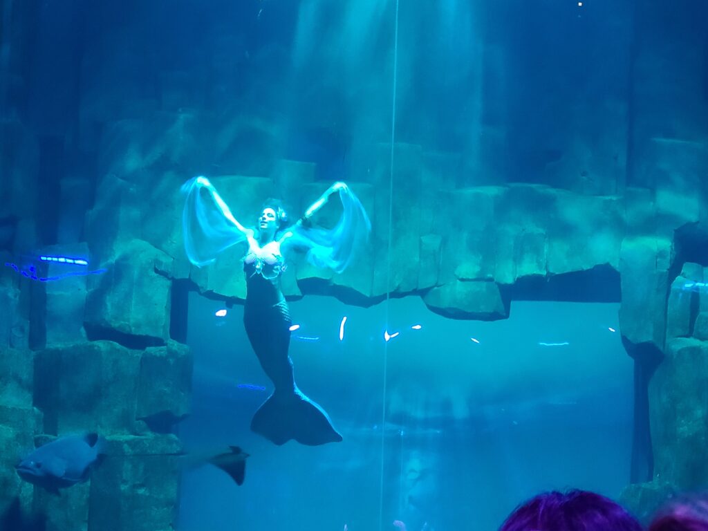 Spectacle d'Ingrid la Sirène Aquarium de Paris