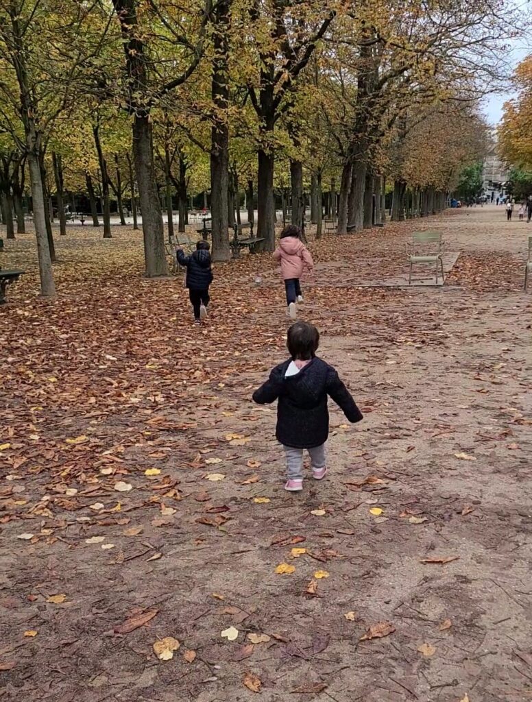 Enfants courant après les pigeons au jardin du Luxembourg en Automne